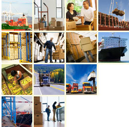 Our Various Services